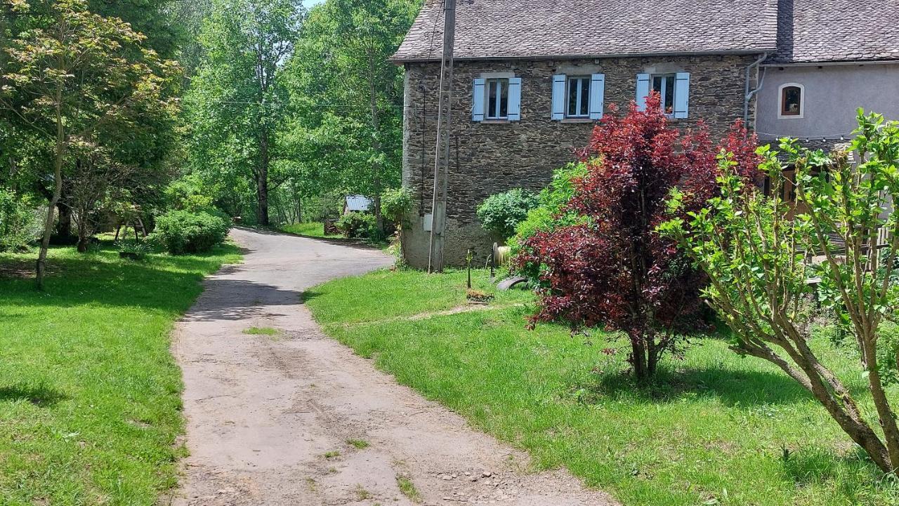 Moulin De Serre Villa Sainte-Juliette-sur-Viaur Exterior foto