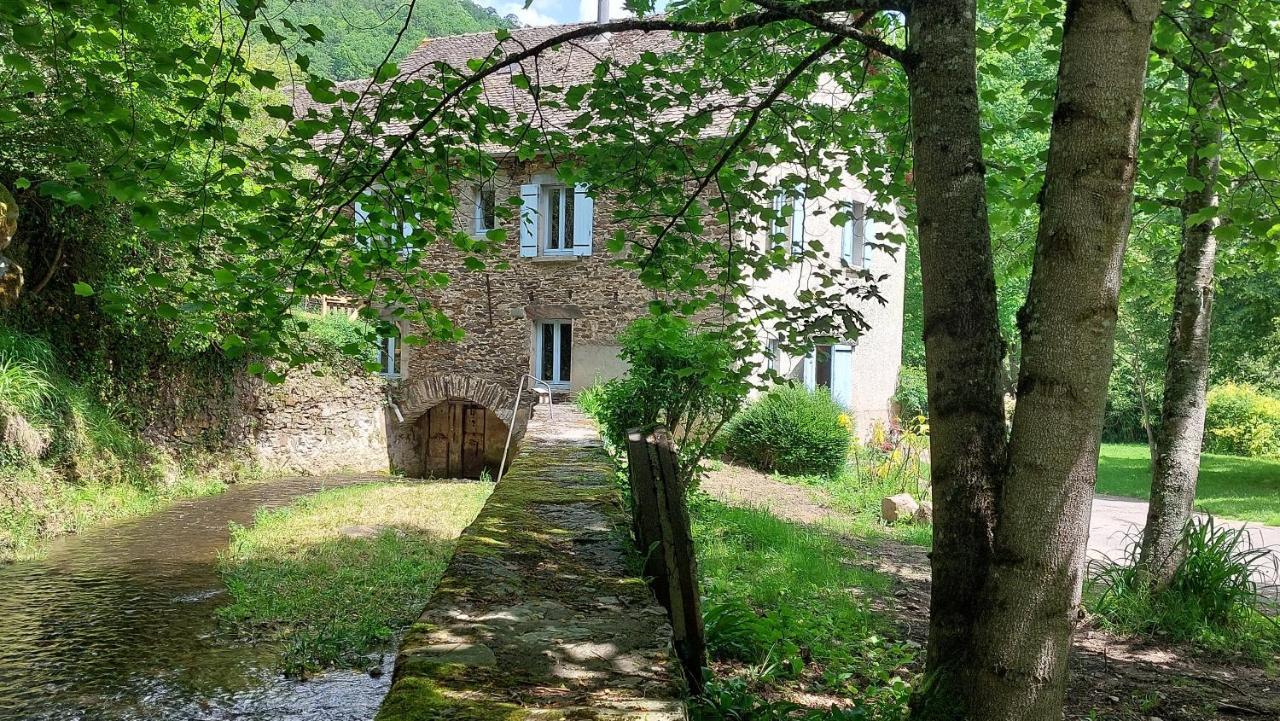 Moulin De Serre Villa Sainte-Juliette-sur-Viaur Exterior foto